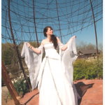 devons-wedding-dress-photo-by-the-hudsons