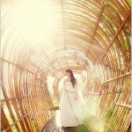 devons-wedding-gown-photo-by-the-hudsons
